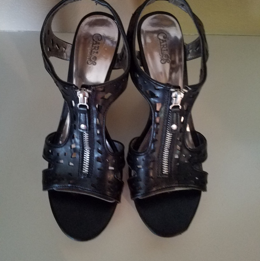 Carlos Wedges